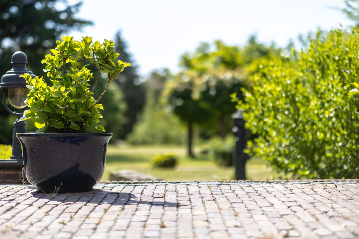 Plantenbak met uitzicht over de tuin